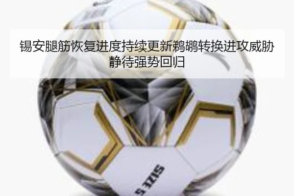 锡安腿筋恢复进度持续更新鹈鹕转换进攻威胁静待强势回归
