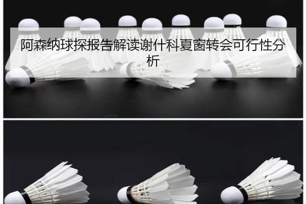 阿森纳球探报告解读谢什科夏窗转会可行性分析